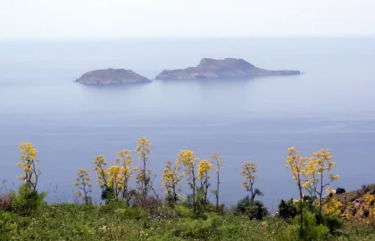 Νήσοι Παξιμάδια